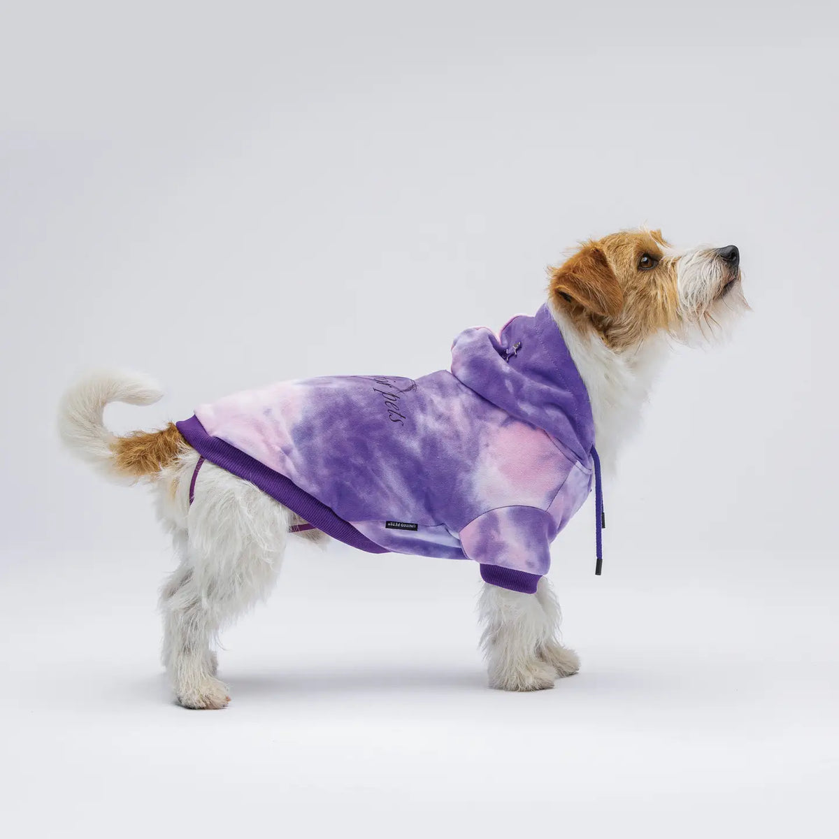 Sudadera Not Only x Pets