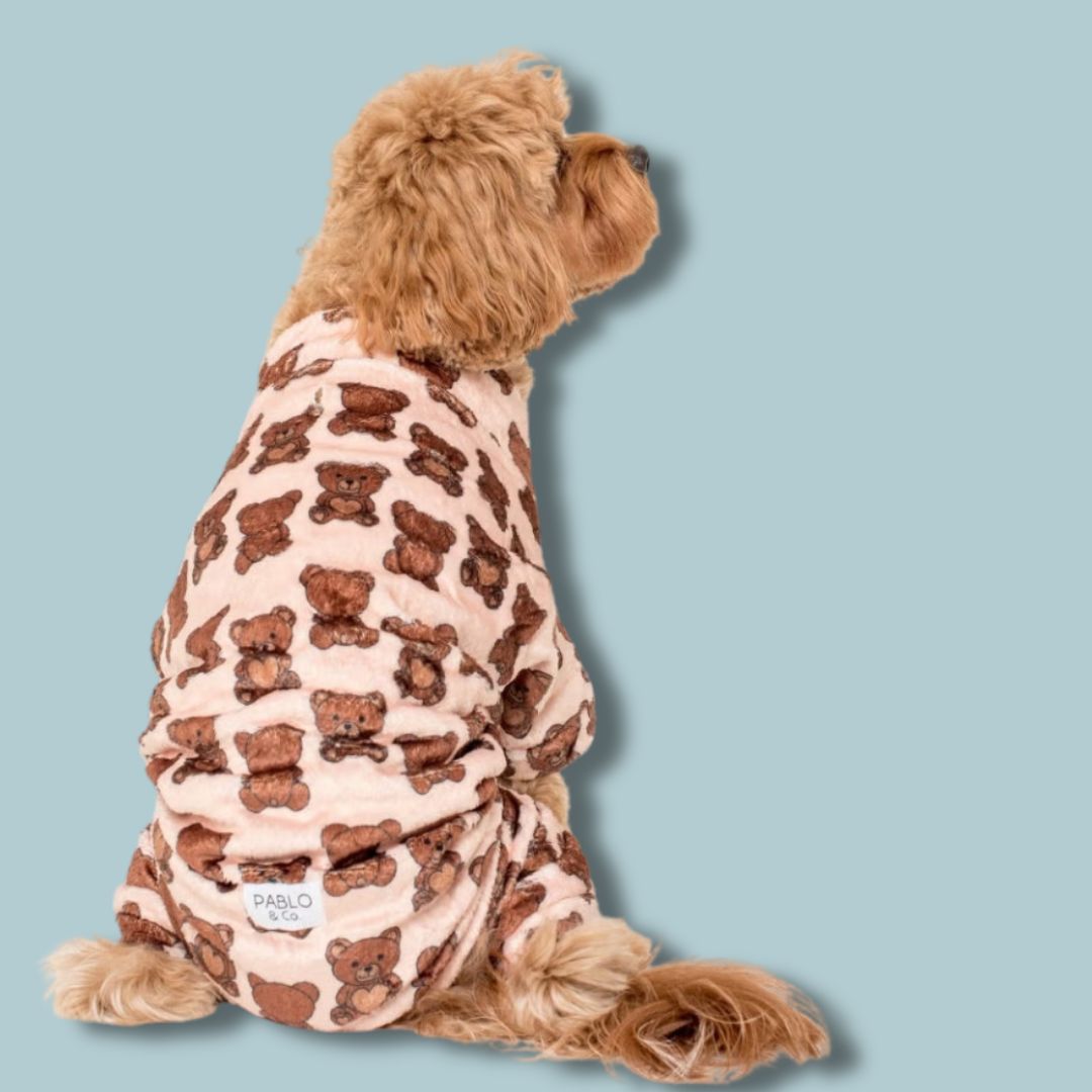Abrigo Teddy Dog