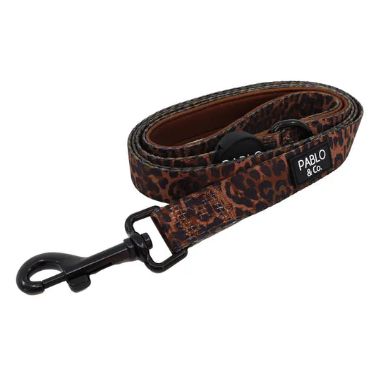 Correa Leopard