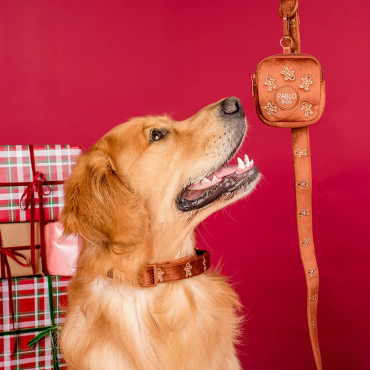 Mini bolso Gingerbread