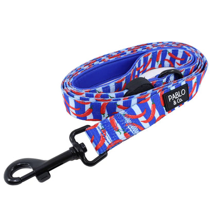 Harness Adjustable-Bogota