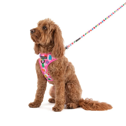 Pack 3 piezas - Beary Sweet