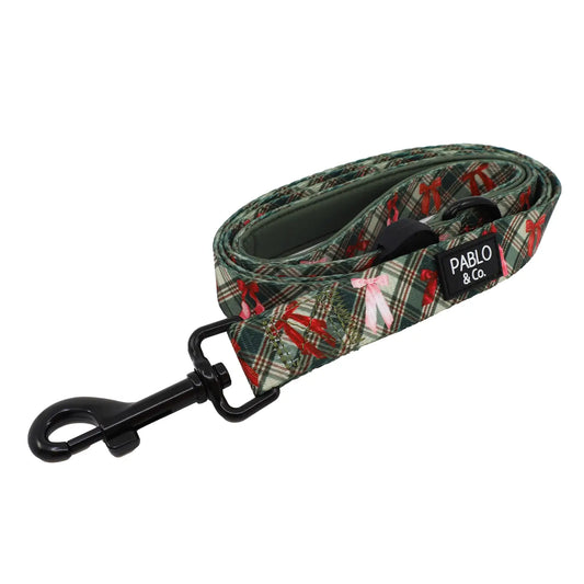 Correa Ribbons (VENTA PRIVADA)