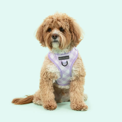Arnés ajustable Vichy Lilac