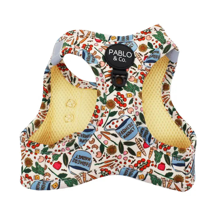 Harness Adjustable-Bogota