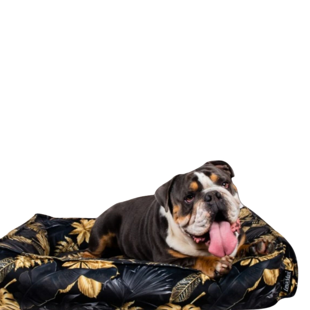 Cama Arab-Lux