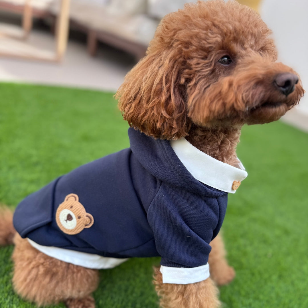 Camisa Teddy Dog