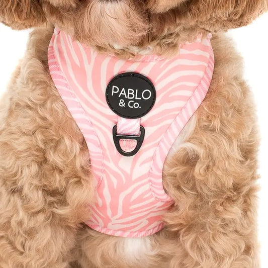 Arnés Ajustable Pink Zebra