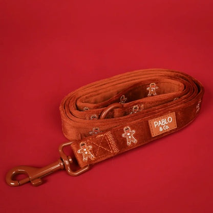 Harness Adjustable-Bogota