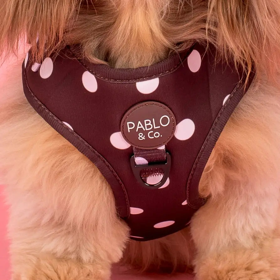 Harness Adjustable-Bogota