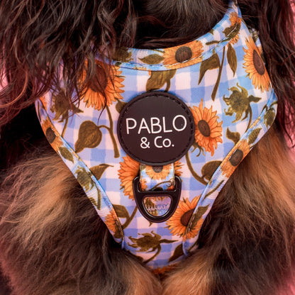 Harness Adjustable-Bogota