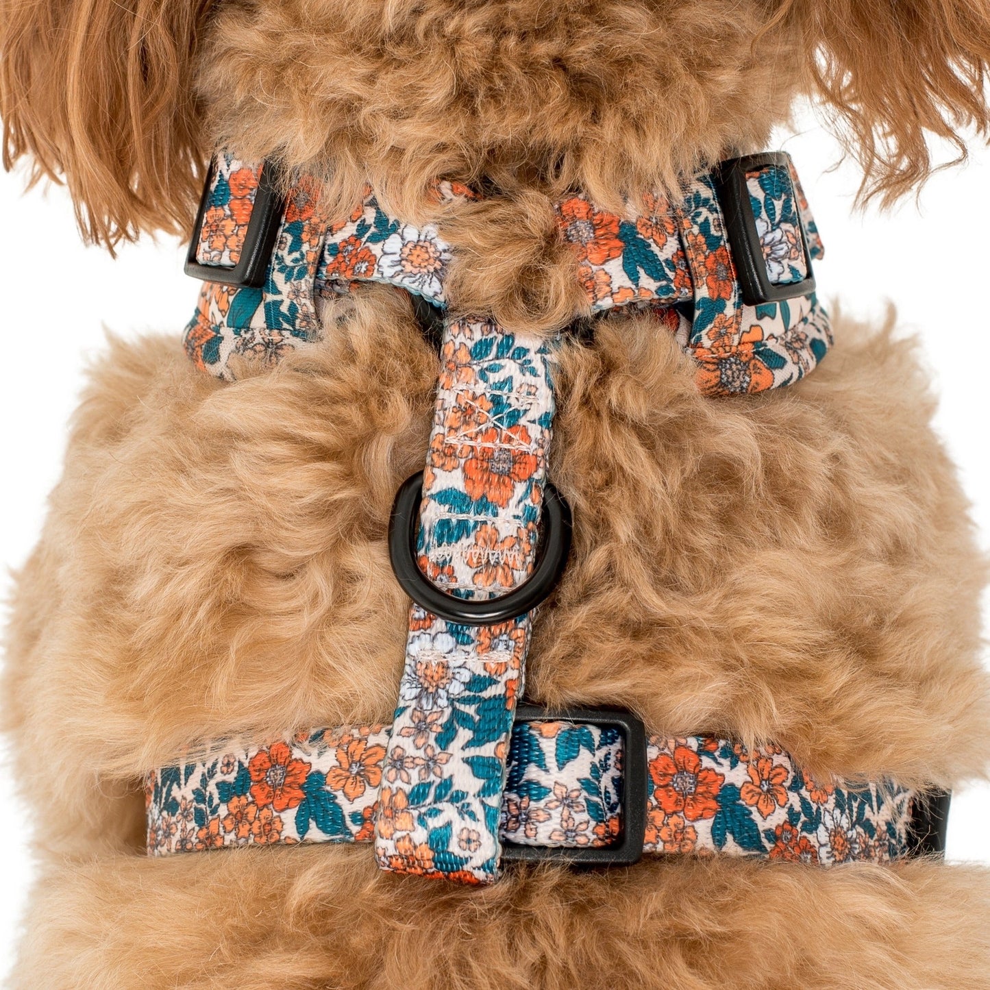 Harness Adjustable-Bogota