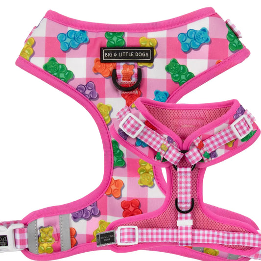 Arnés ajustable Beary Sweet