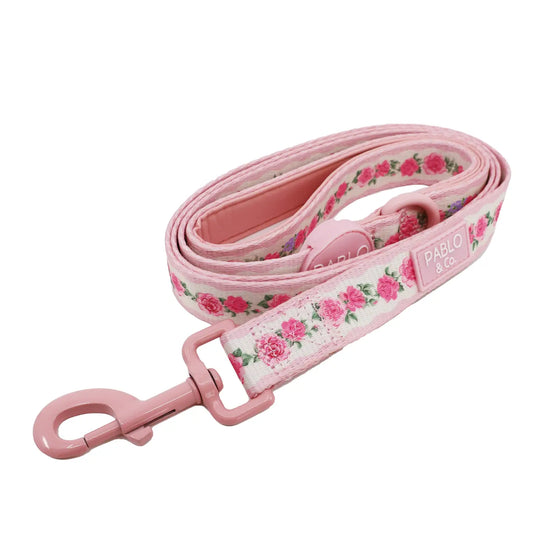 Correa Vintage Rose (VENTA PRIVADA)