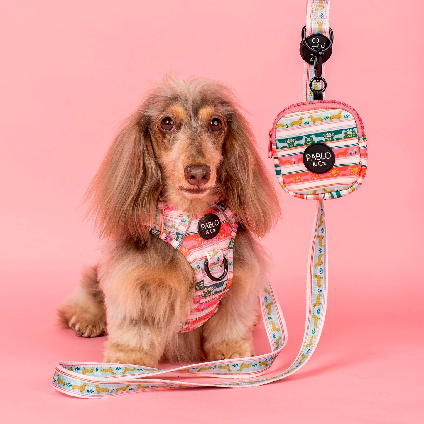 Harness Adjustable-Bogota