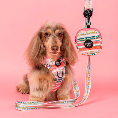 Harness Adjustable-Bogota