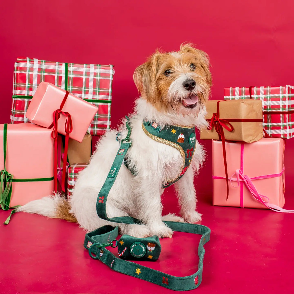 Arnés Ajustable Christmas Velvet