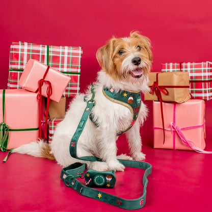 Arnés Ajustable Christmas Velvet