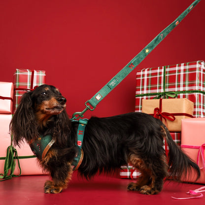 Correa Christmas Velvet