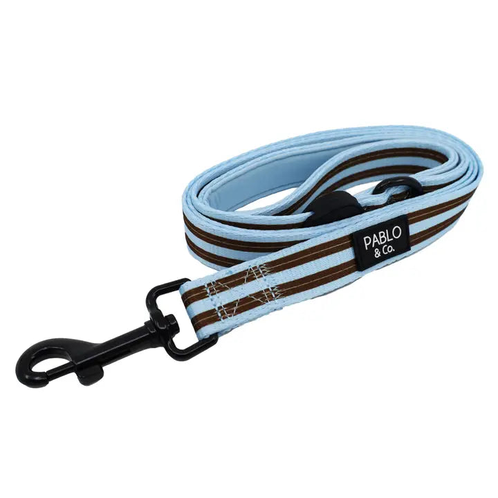 Correa Blue Stripes (Venta Anticipada)