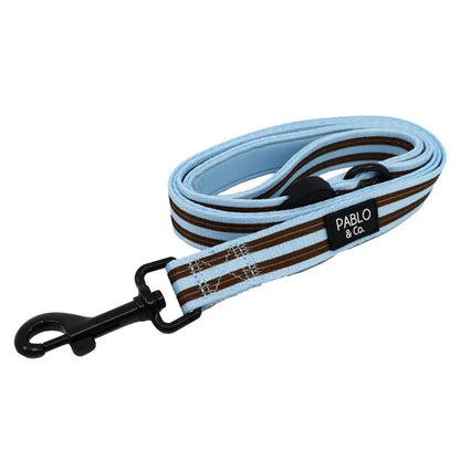 Correa Blue Stripes (Venta Anticipada)