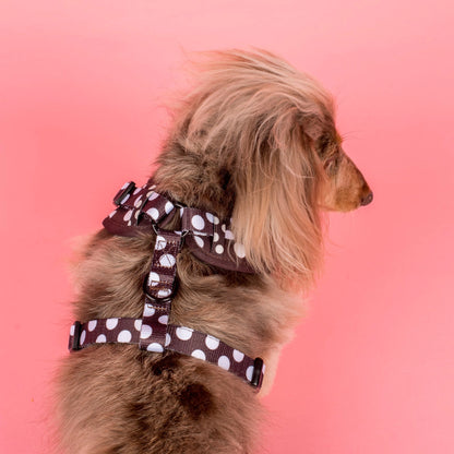 Harness Adjustable-Bogota