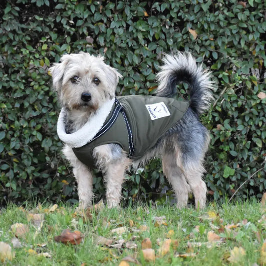 Abrigo con arnés Manteau City