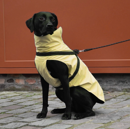 Abrigo impermeable Tom