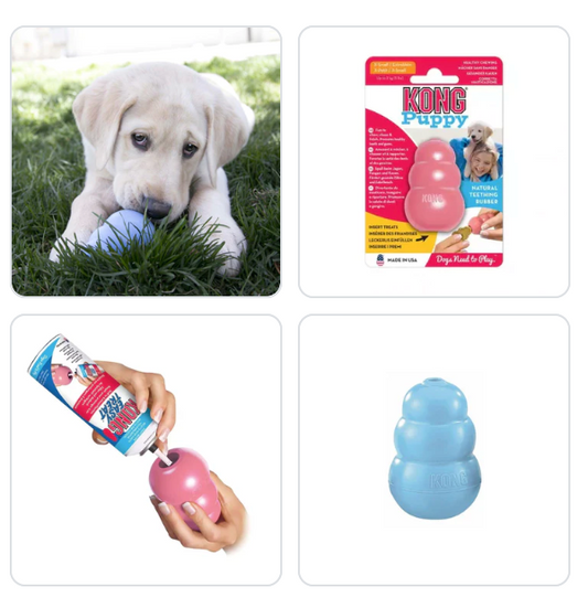 Kong puppies-refillable toy