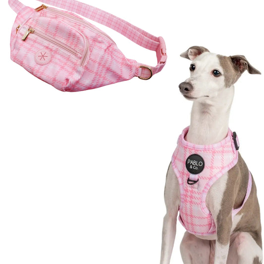 Harness Adjustable-Bogota