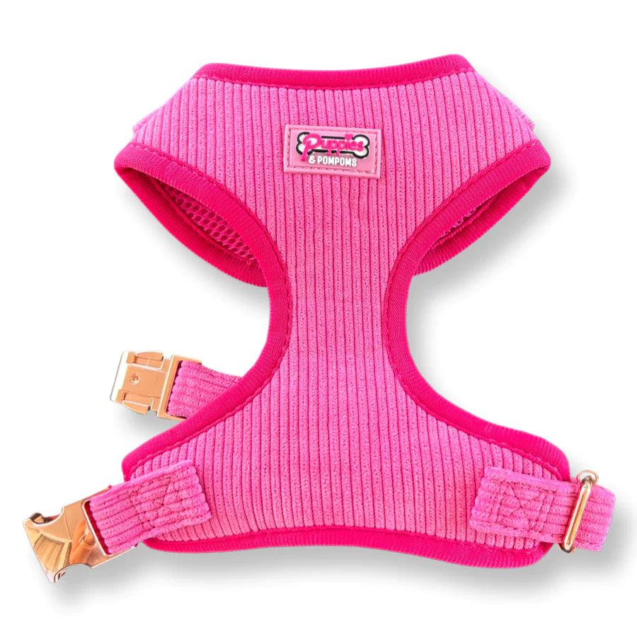 Barbie corduduan harness