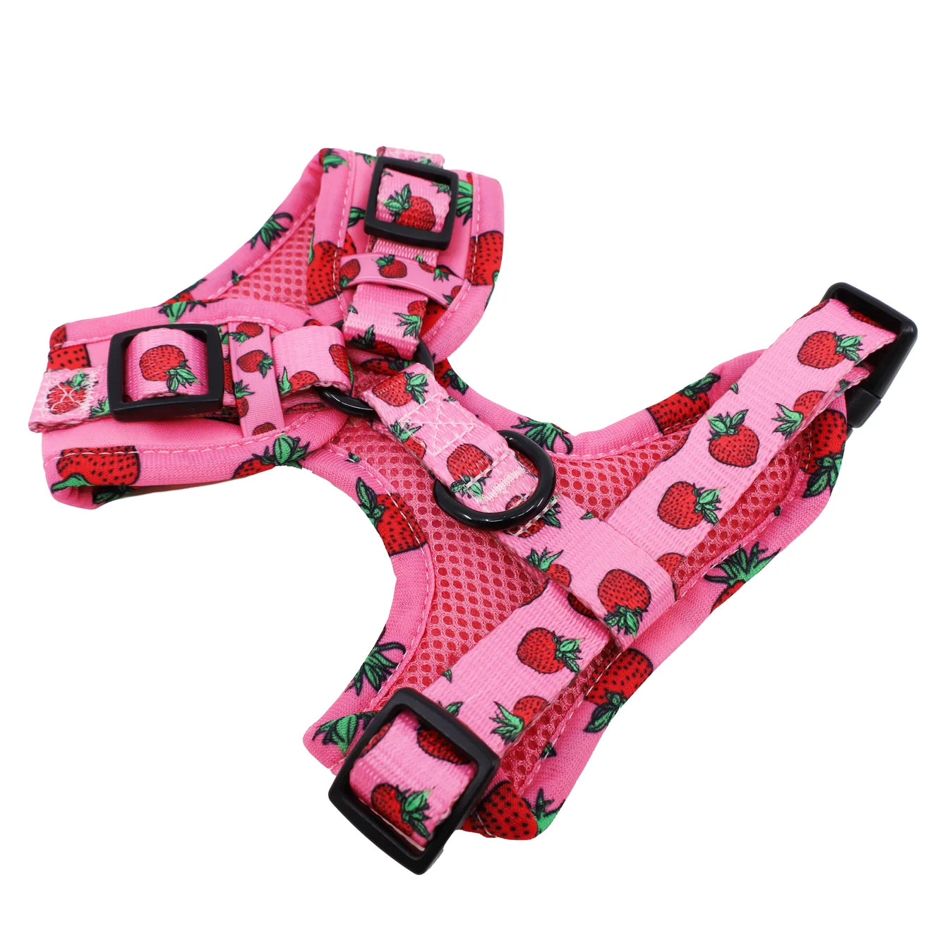 Harness Adjustable-Bogota