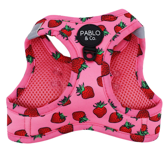 Arnés Body Strawberries