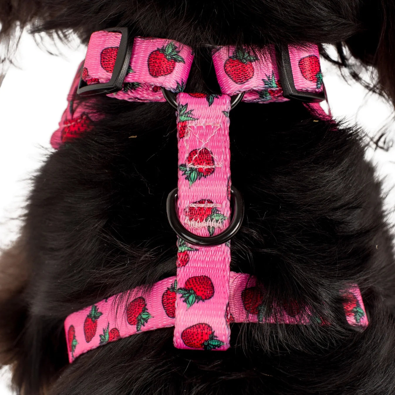 Harness Adjustable-Bogota