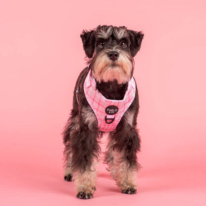 Arnés Ajustable Pink Houndstooth