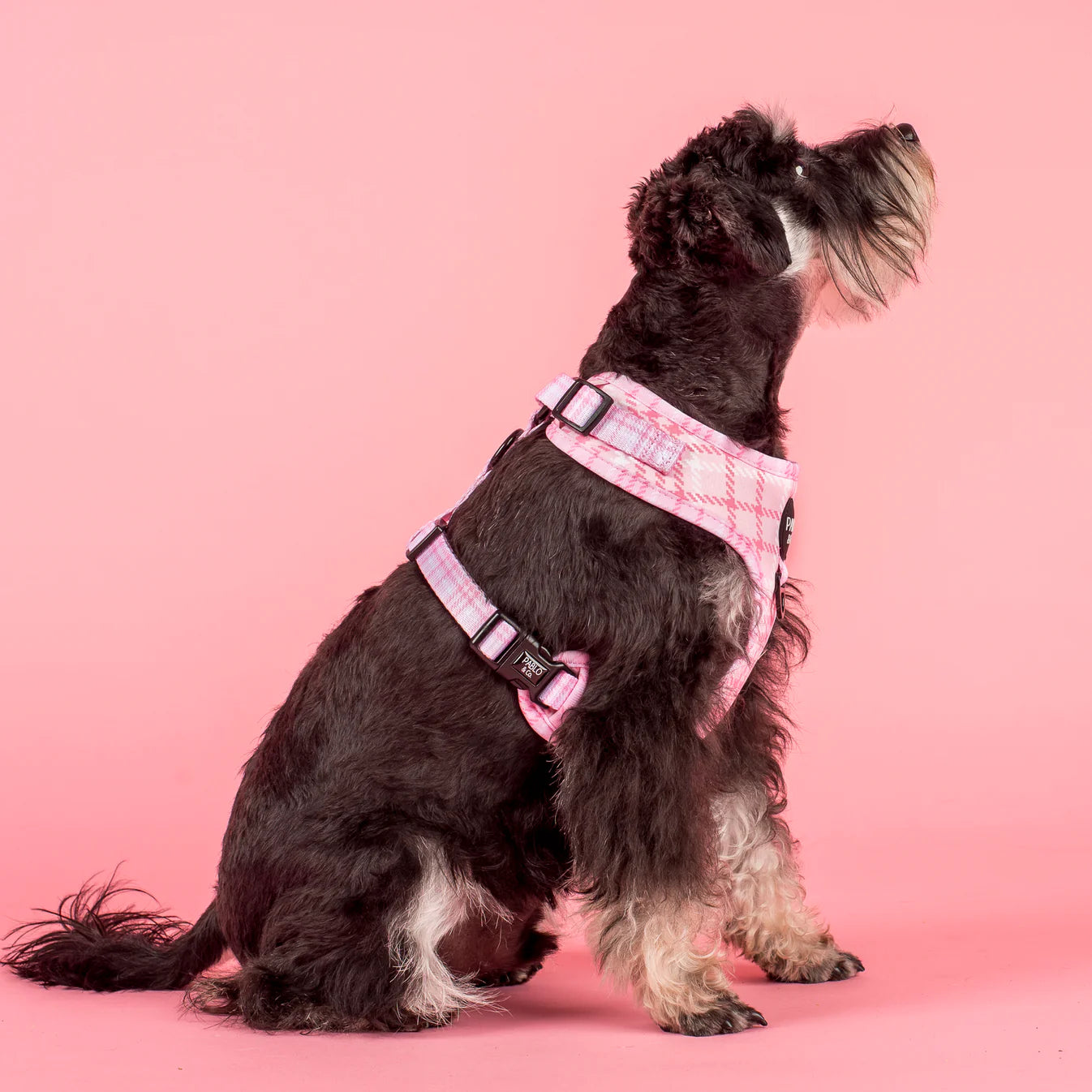 Arnés Ajustable Pink Houndstooth