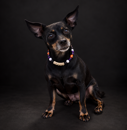 Collar Igor