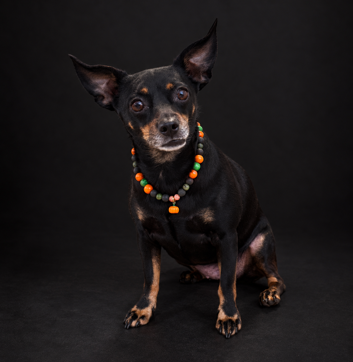 Collar Pumpkin