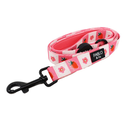 Harness Adjustable-Bogota