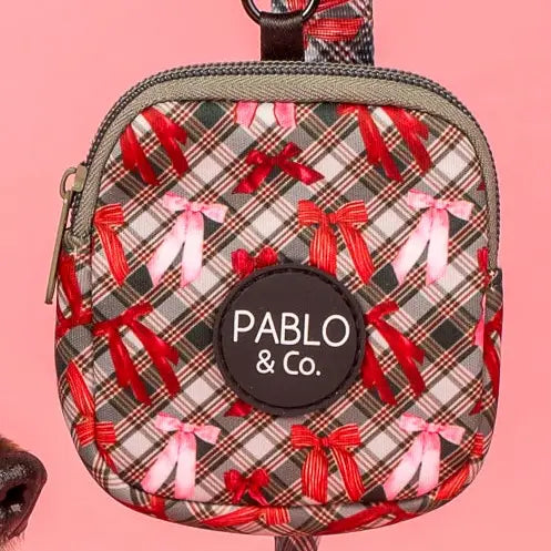 Mini bolso Ribbons (VENTA PRIVADA)
