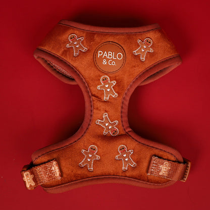 Harness Adjustable-Bogota
