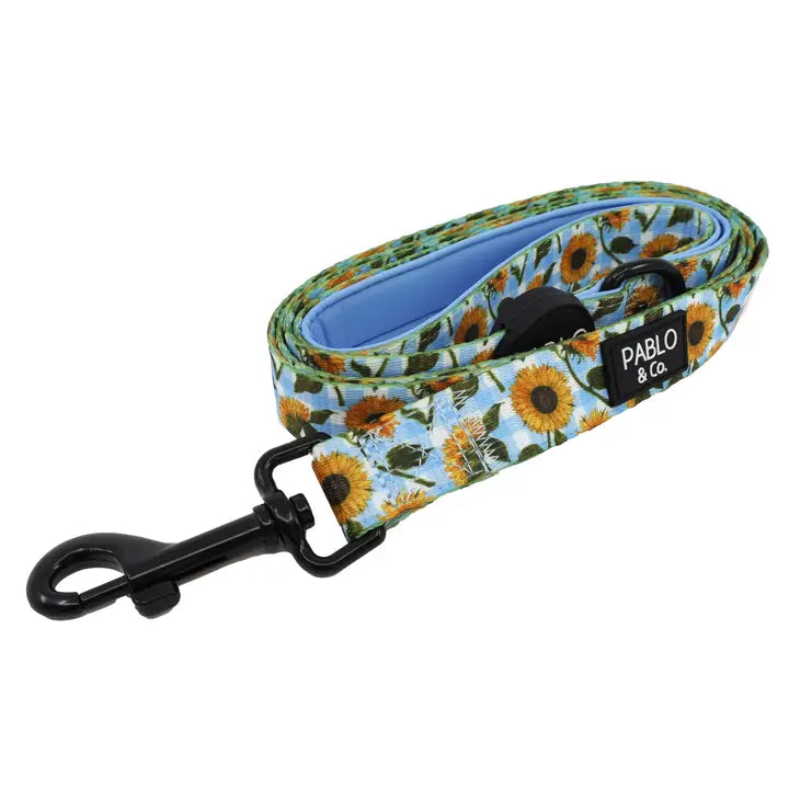 Correa Sunflower (Venta Anticipada)