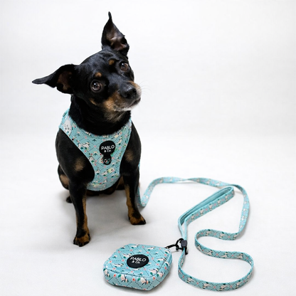 Harness Adjustable-Bogota