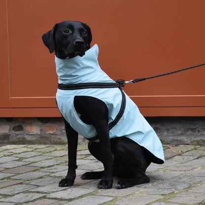 Abrigo impermeable Tom Blue