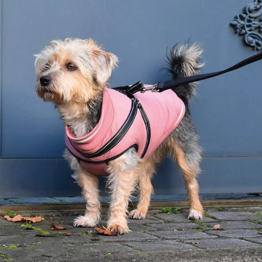 Abrigo con arnés St. Moritz azul