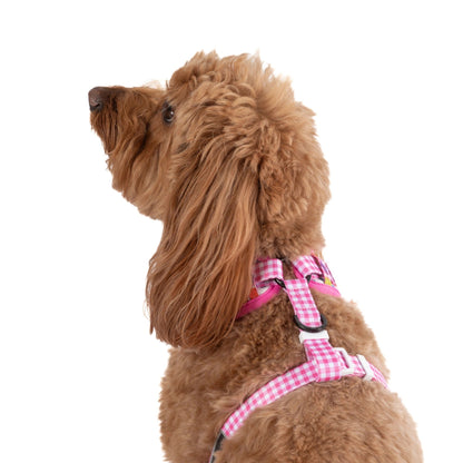 Pack 3 piezas - Beary Sweet