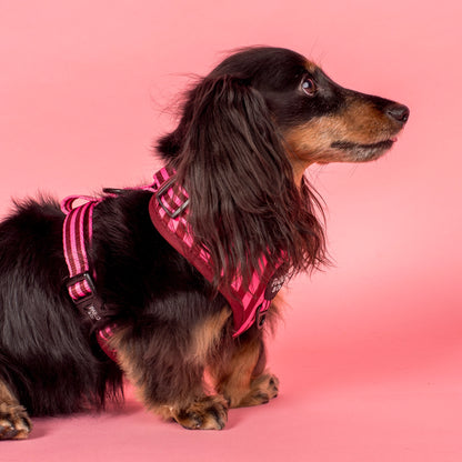 Arnés Ajustable Pink Sunday