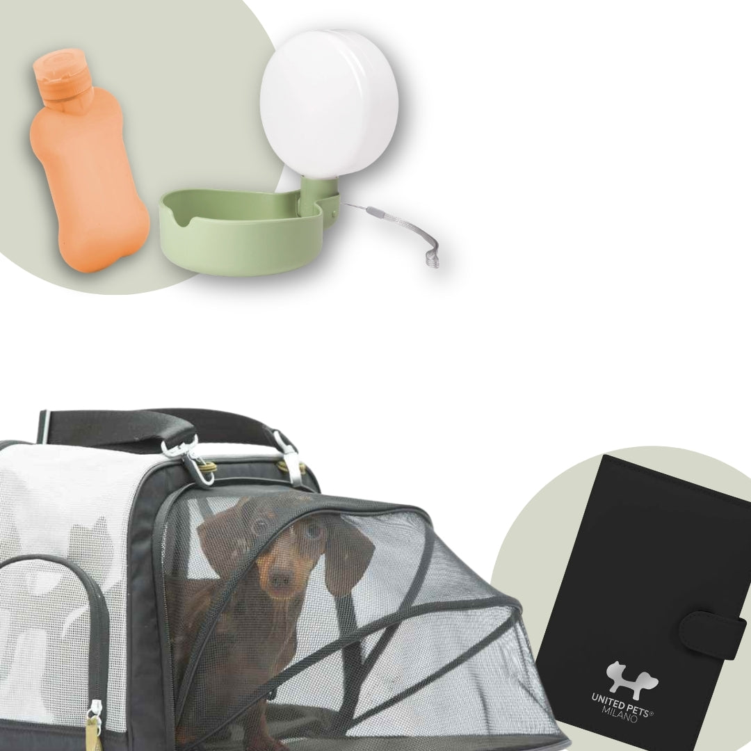 Pack PRO - Transportín extensible + accesorios