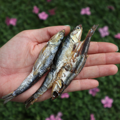 Boquerones de huelva