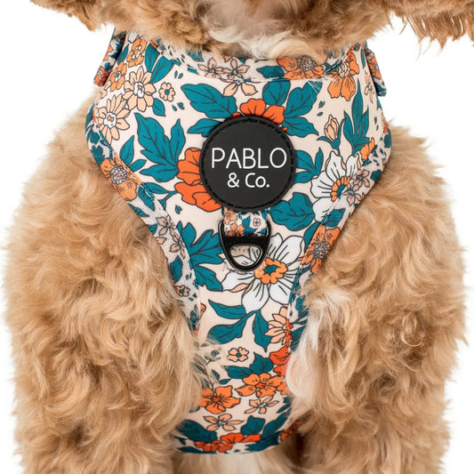 Arnés Ajustable Wildflowers XS